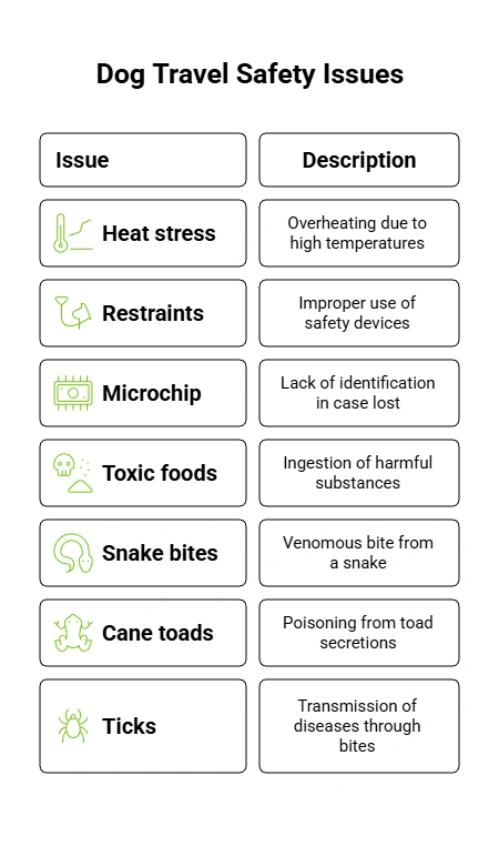 7 safety issues you may encounter when travelling with your dog.