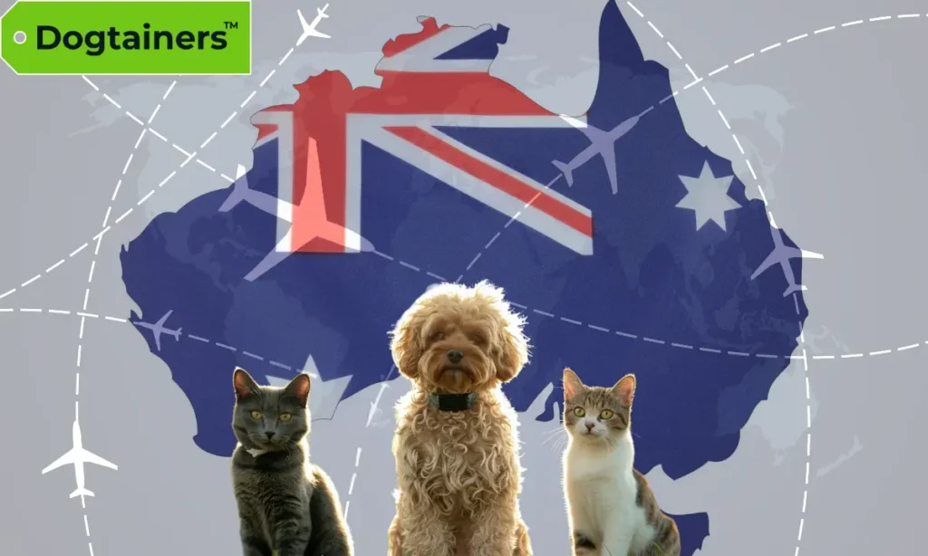 A dog in the middle flanked by two cats with the Australian flag in the background in the shape of the Australia map.