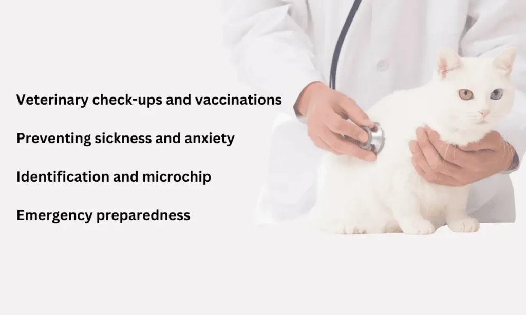 Graphic of a vet in a white coat examining a white cat with text outlining areas to address for pet health and safety.