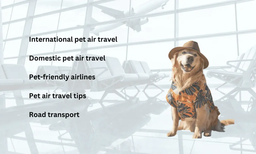 Graphic of a Golden Retriever at the airport wearing a hat and colourful shirt with text outlining your available pet transportation options.