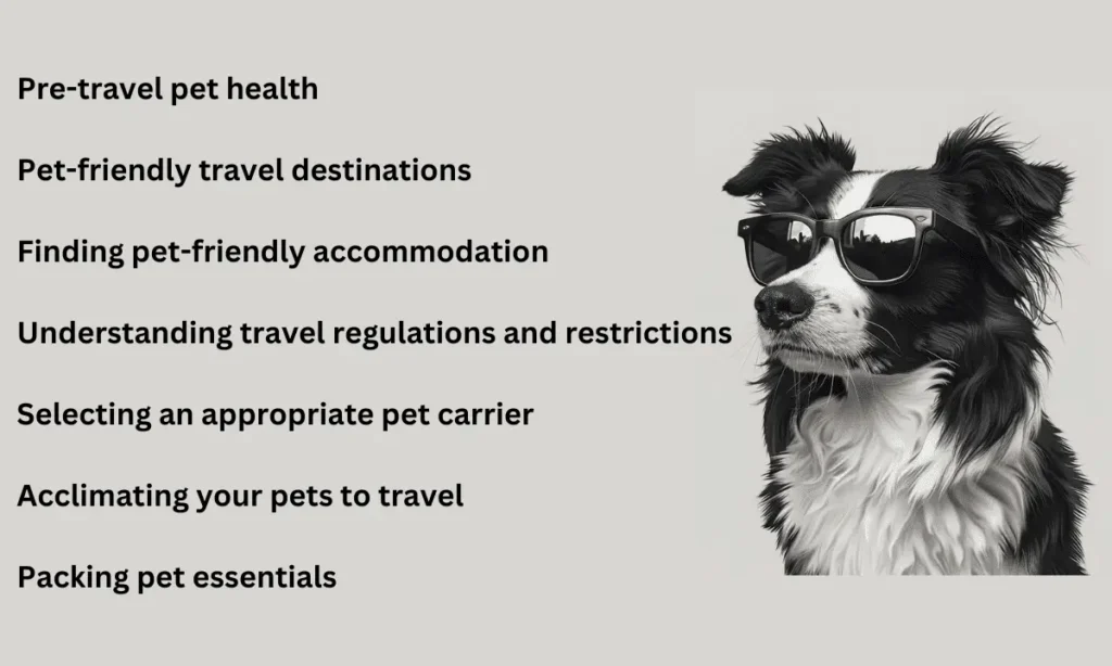 Graphic of a Border Collie wearing sunglasses with text outlining tips for pet travel preparation.