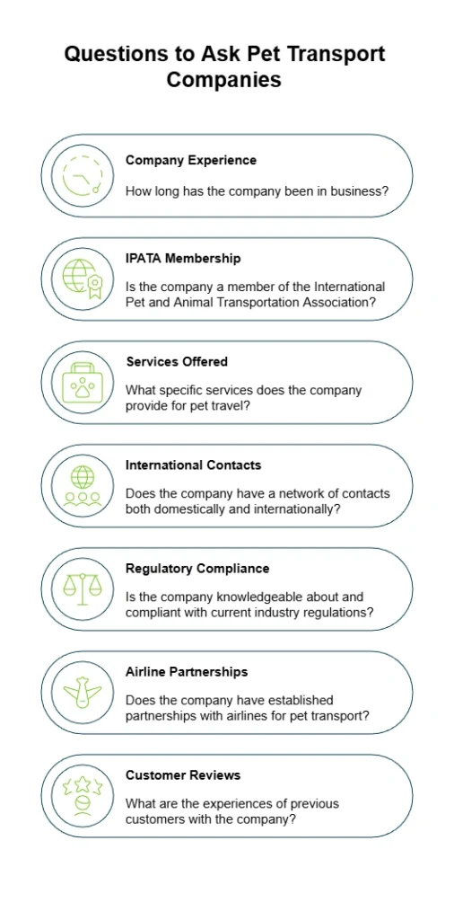 7 questions to ask a pet transport company.