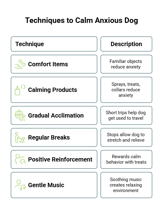 6 ways to calm anxious dogs.