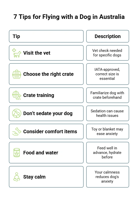 7 tips for flying with a dog.