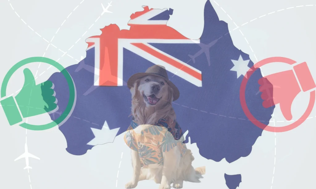 A Golden Retriever dog wearing a Hawaiian shirt and fedora hat with the Australian map in the background flanked by a green thumbs up and red thumbs down icons.