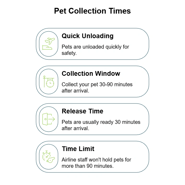 Pet collection times: 30-90 minutes after arrival.