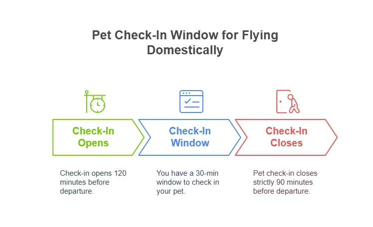 The check-in window for domestic pet flights: when it opens and when it closes.