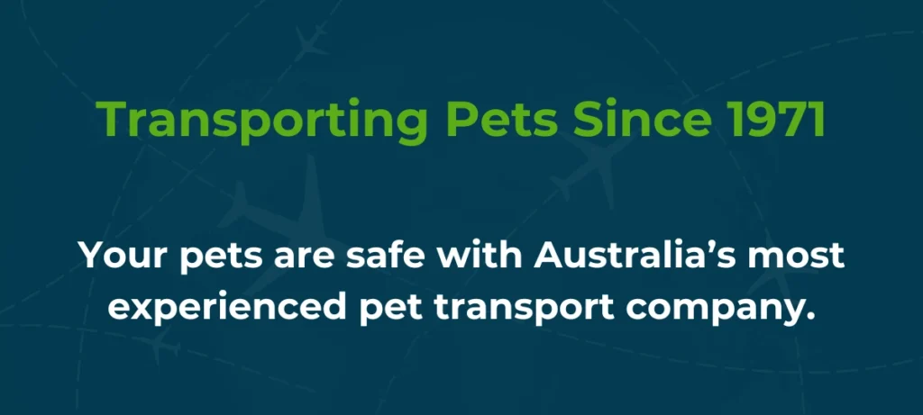 A graphic saying transporting pets since 1971 to highlight experience.