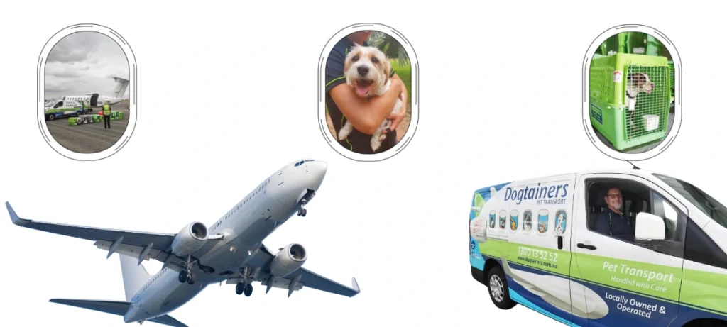 Pets being loaded onto a plane, a dog in a handler's arms, a dog in a crate, a plane and a Dogtainers van.