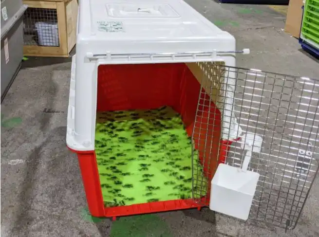 vet bedding