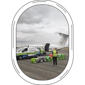 Domestic travel - loading pets into a plane