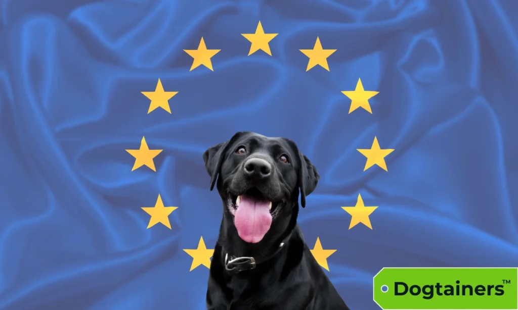Black Labrador dog sitting with the European flag as the backdrop.