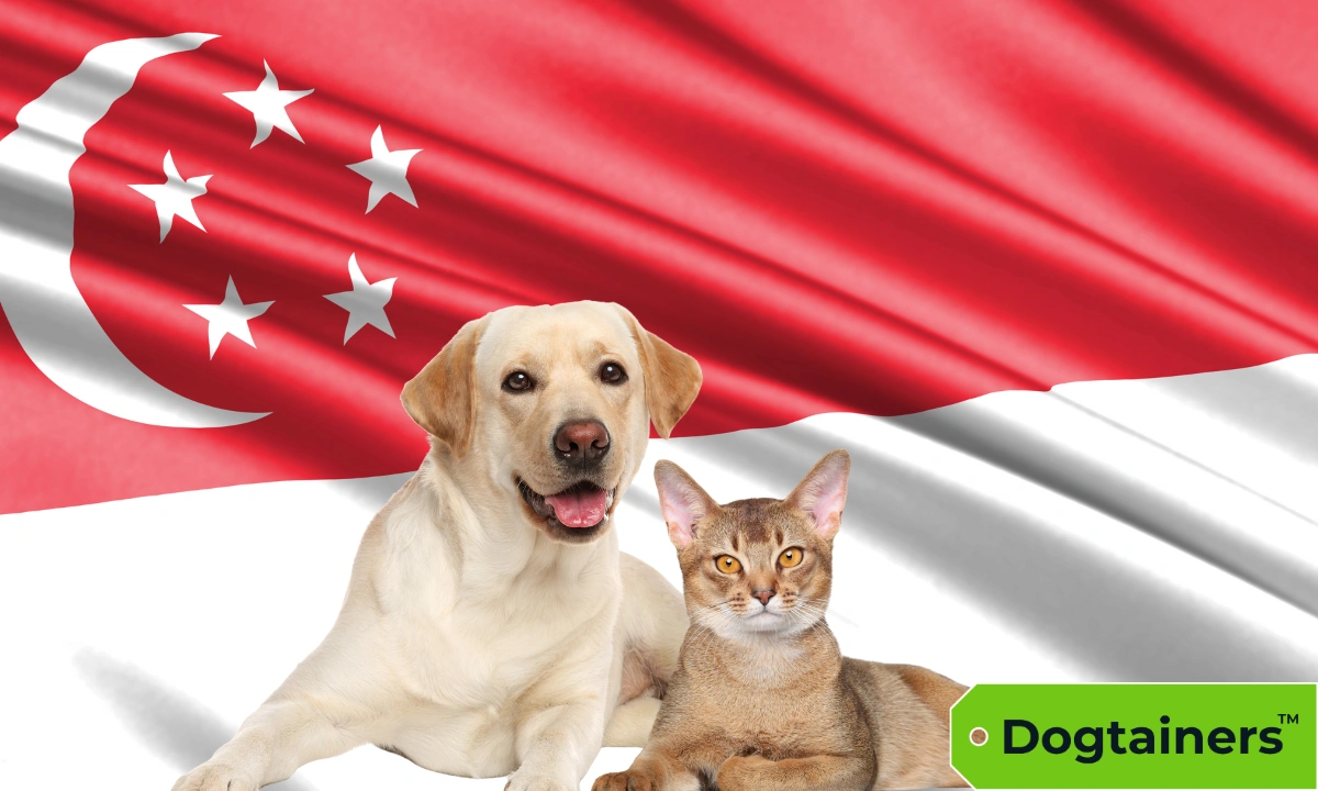 A dog and cat with the Singapore flag as the backdrop.