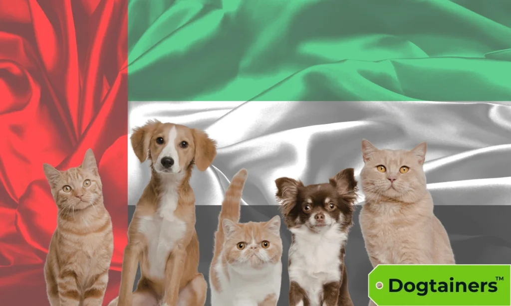 Two dogs and three cats standing in front of the United Arab Emirates flag.