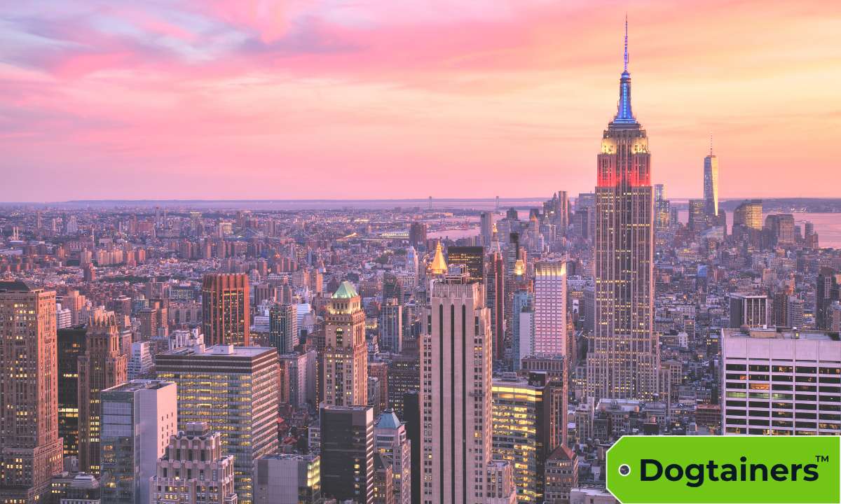 New York skyline.