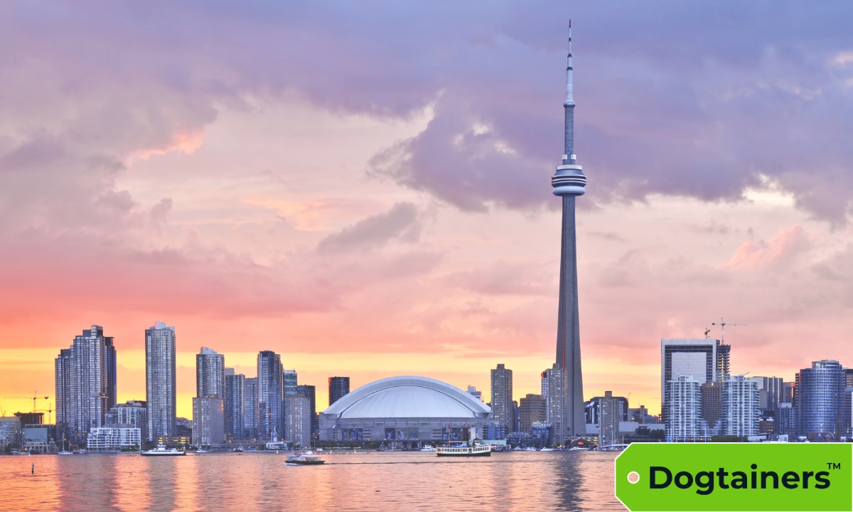 Toronto skyline.